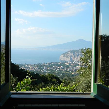 Gli Ulivi Agriturismo Sant'Agnello Exterior photo