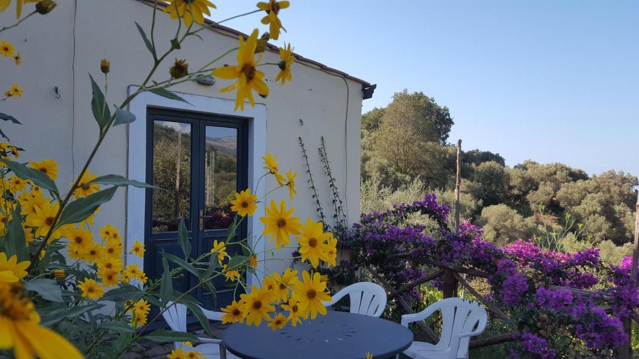 Gli Ulivi Agriturismo Sant'Agnello Exterior photo