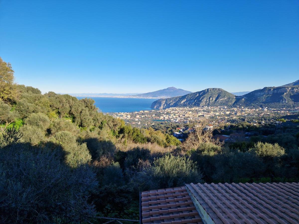 Gli Ulivi Agriturismo Sant'Agnello Exterior photo