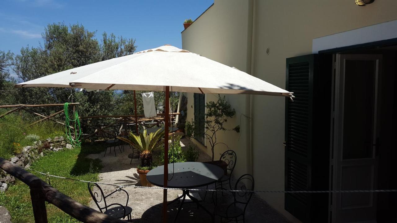 Gli Ulivi Agriturismo Sant'Agnello Exterior photo