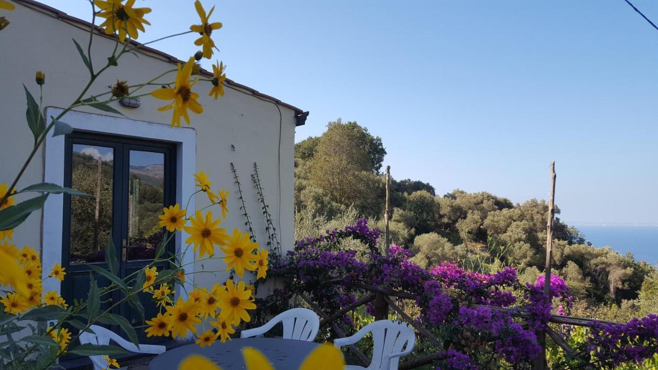 Gli Ulivi Agriturismo Sant'Agnello Exterior photo