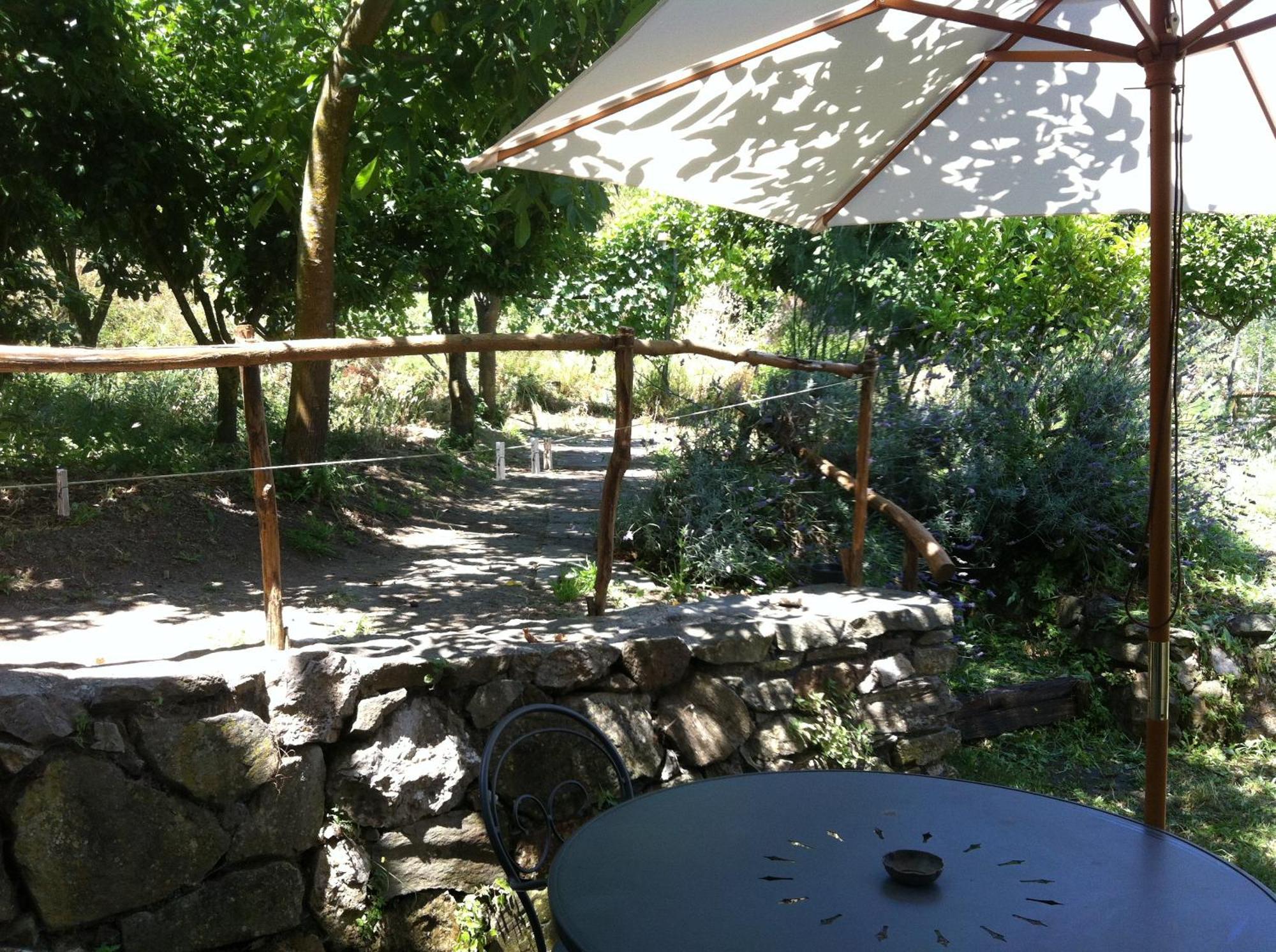 Gli Ulivi Agriturismo Sant'Agnello Exterior photo