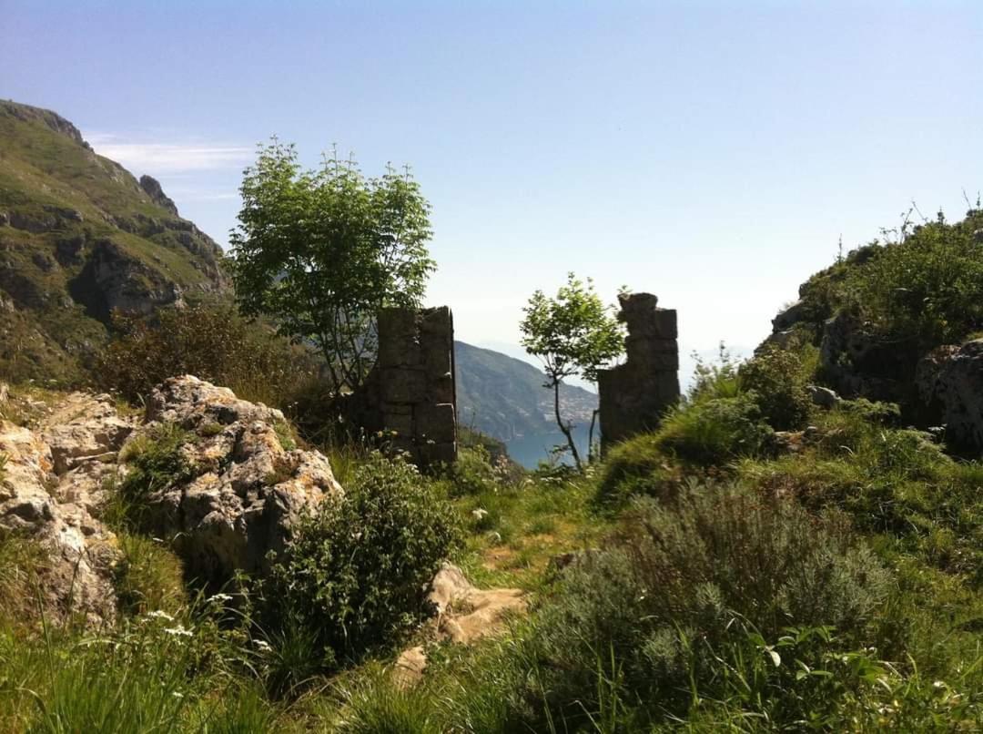 Gli Ulivi Agriturismo Sant'Agnello Exterior photo