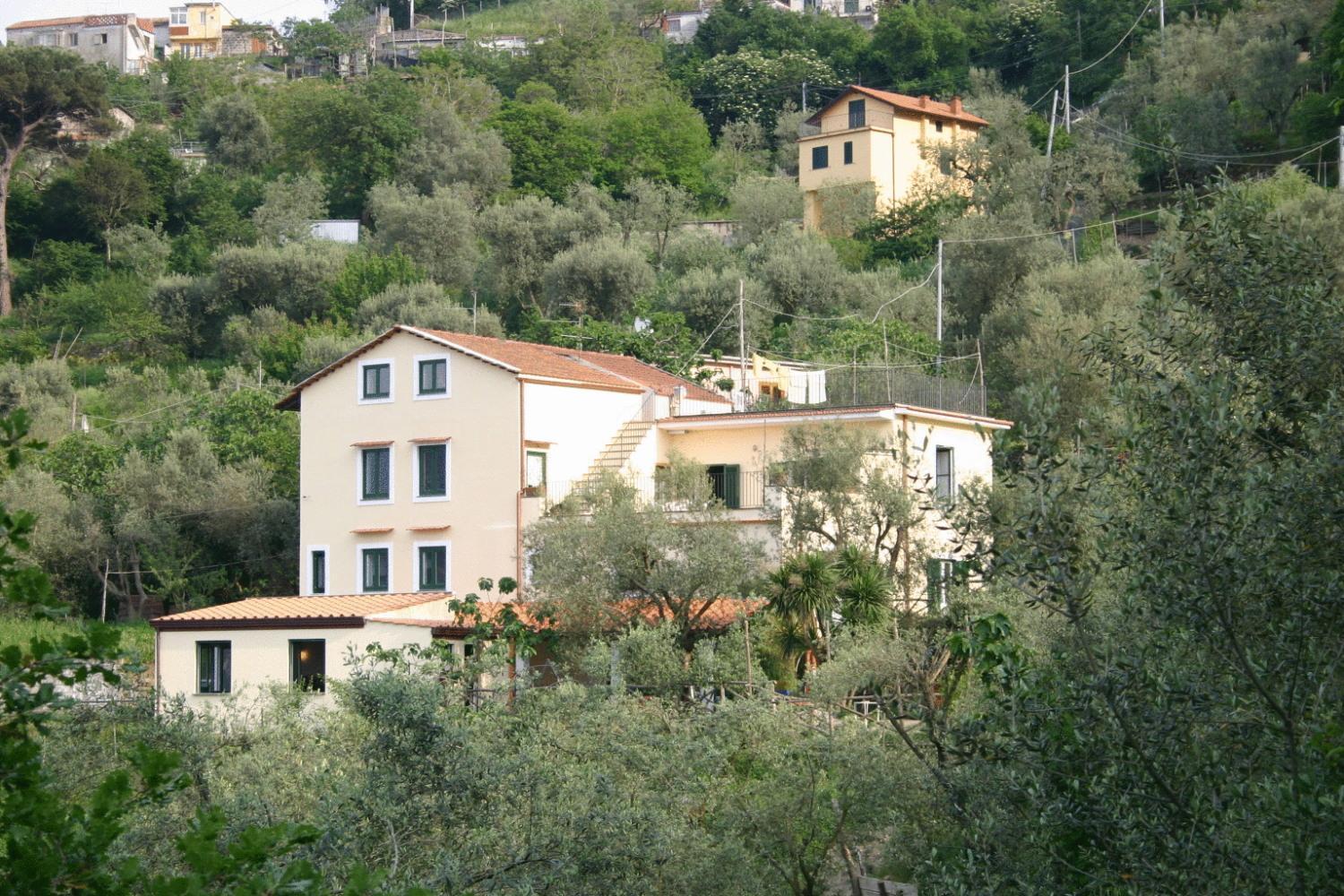 Gli Ulivi Agriturismo Sant'Agnello Exterior photo