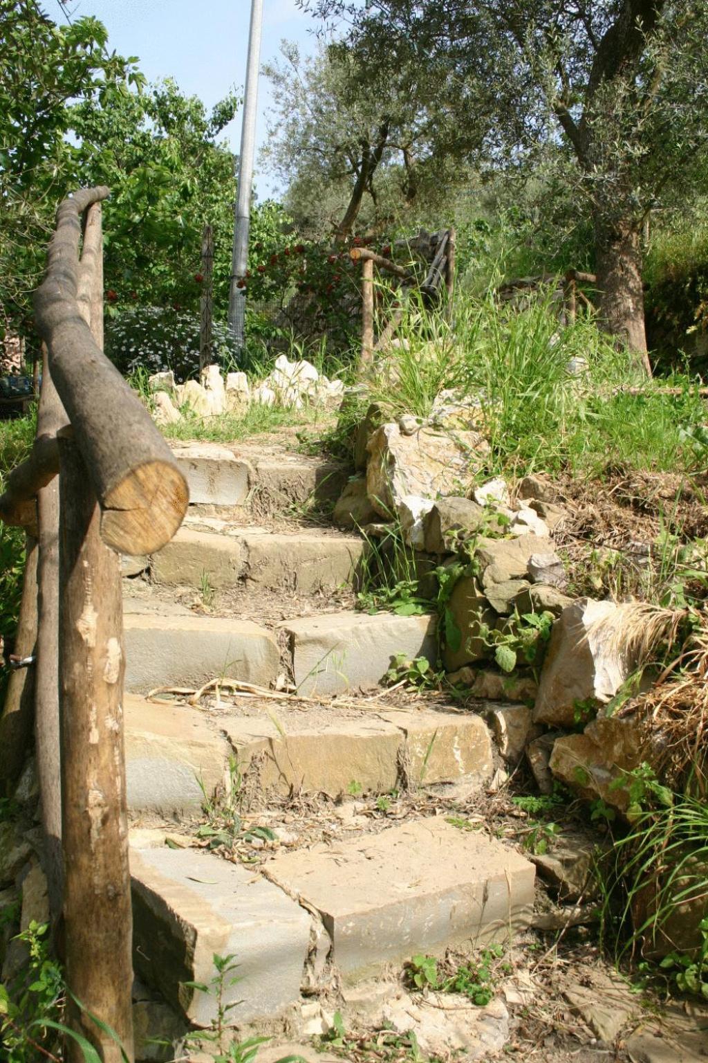 Gli Ulivi Agriturismo Sant'Agnello Exterior photo