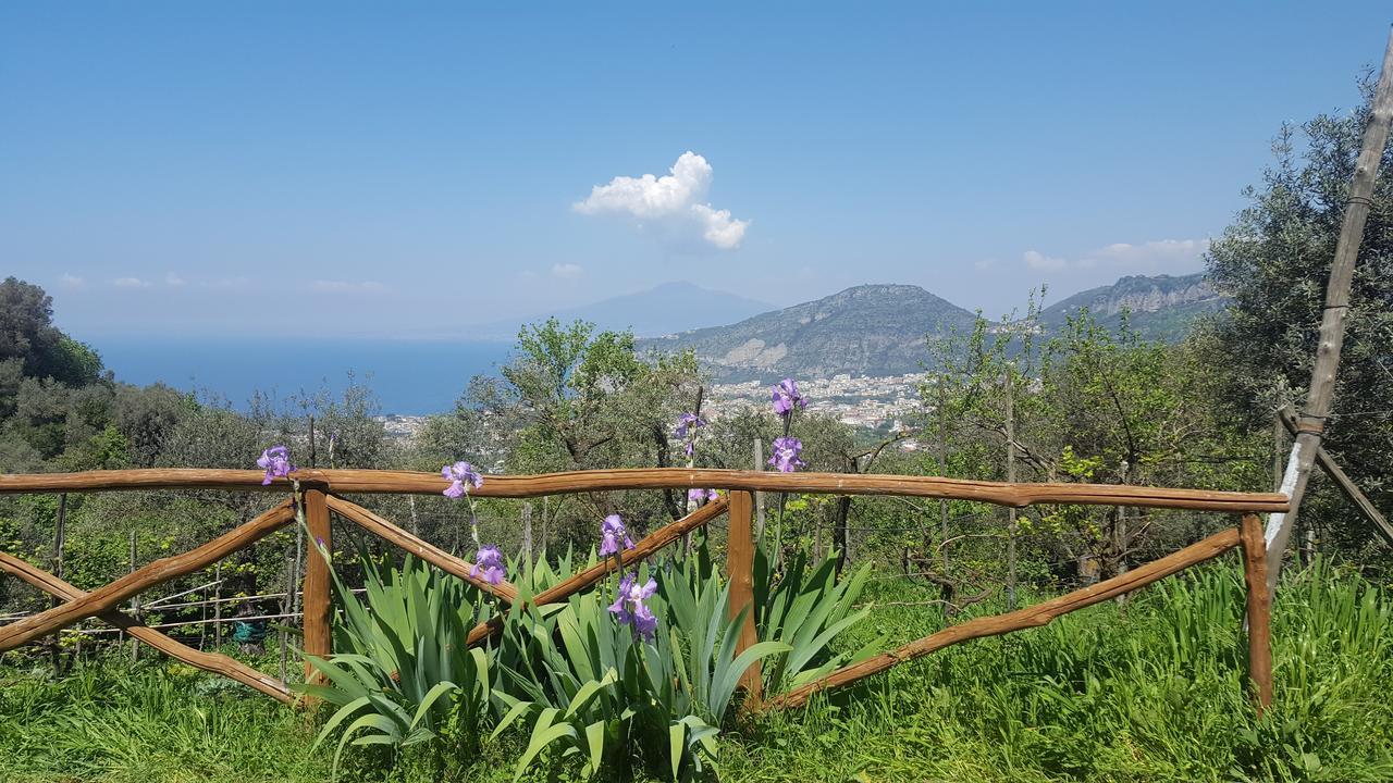 Gli Ulivi Agriturismo Sant'Agnello Exterior photo