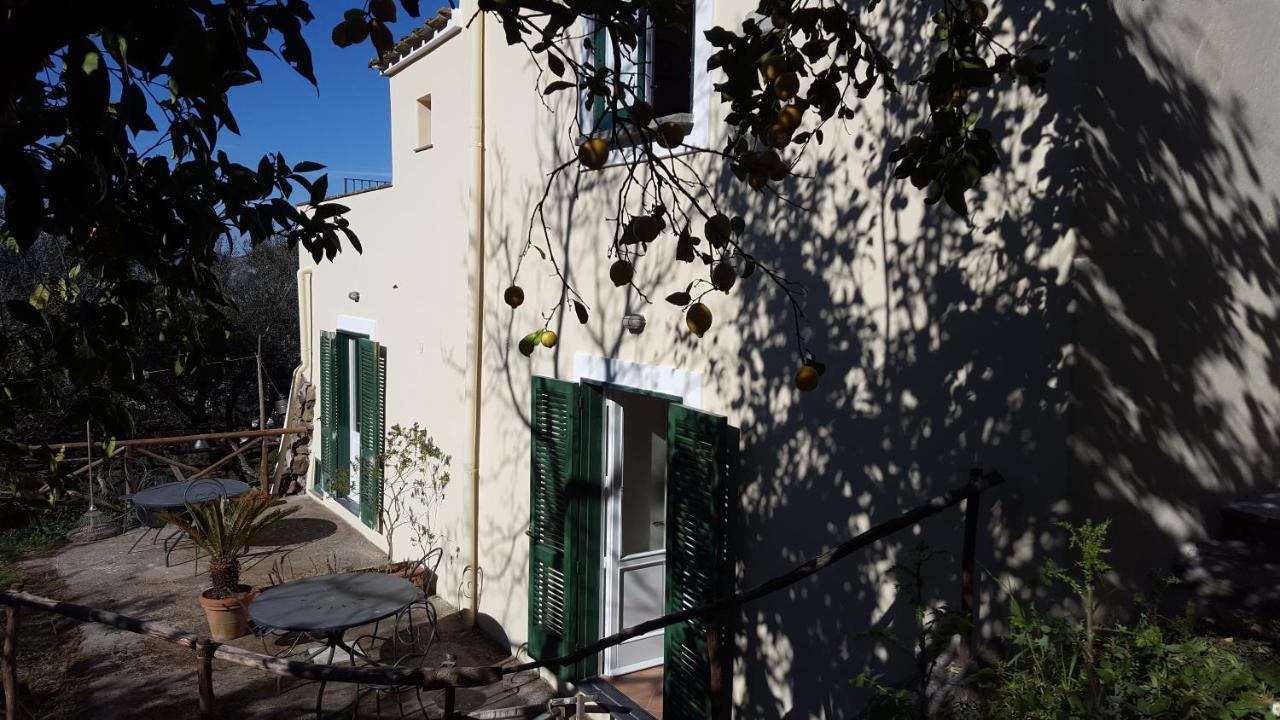 Gli Ulivi Agriturismo Sant'Agnello Exterior photo