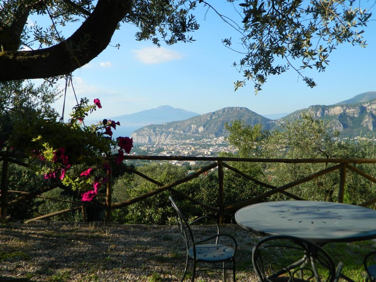 Gli Ulivi Agriturismo Sant'Agnello Exterior photo