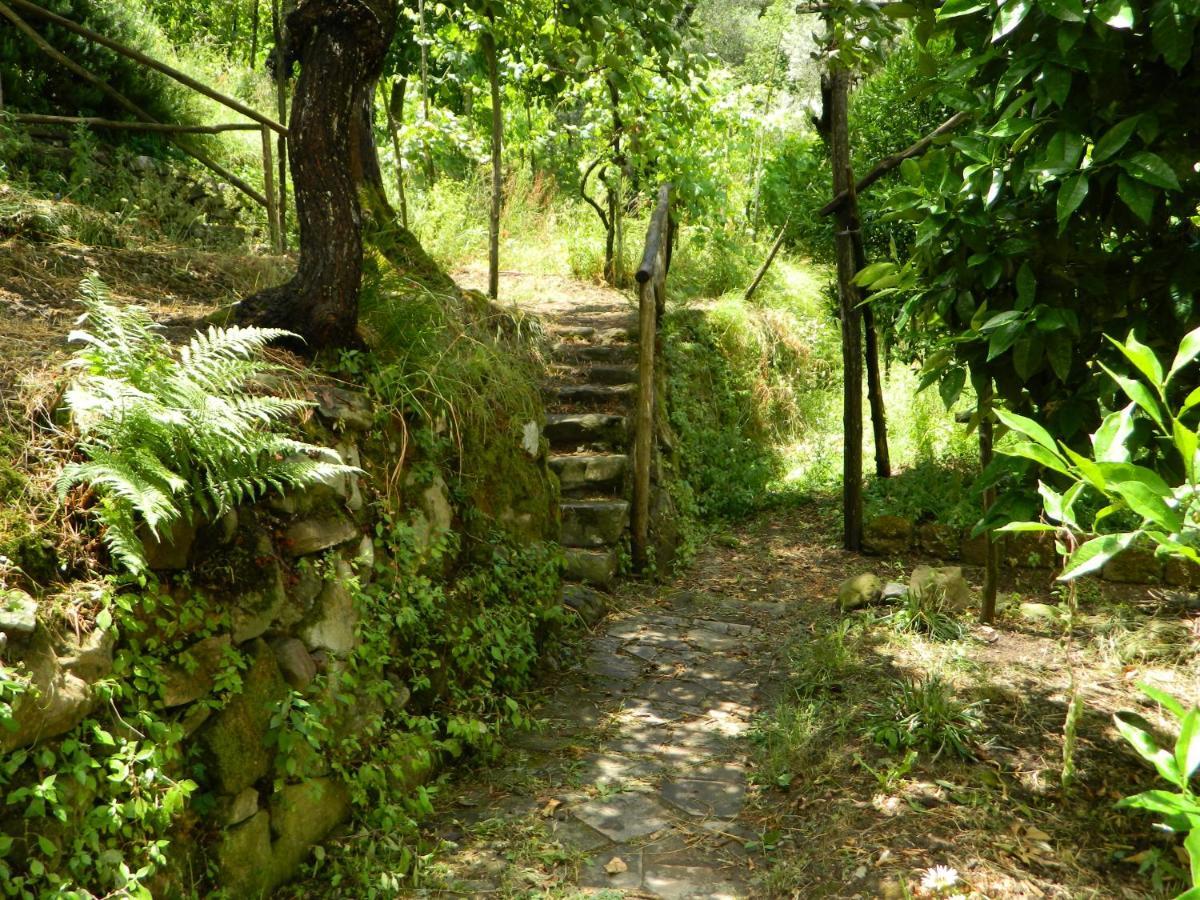 Gli Ulivi Agriturismo Sant'Agnello Exterior photo